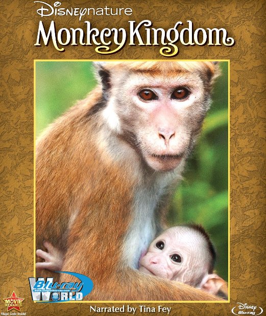 B2256. Monkey Kingdom 2015 - VƯƠNG QUỐC LOÀI KHỈ 2D25G (DTS-HD MA 5.1)